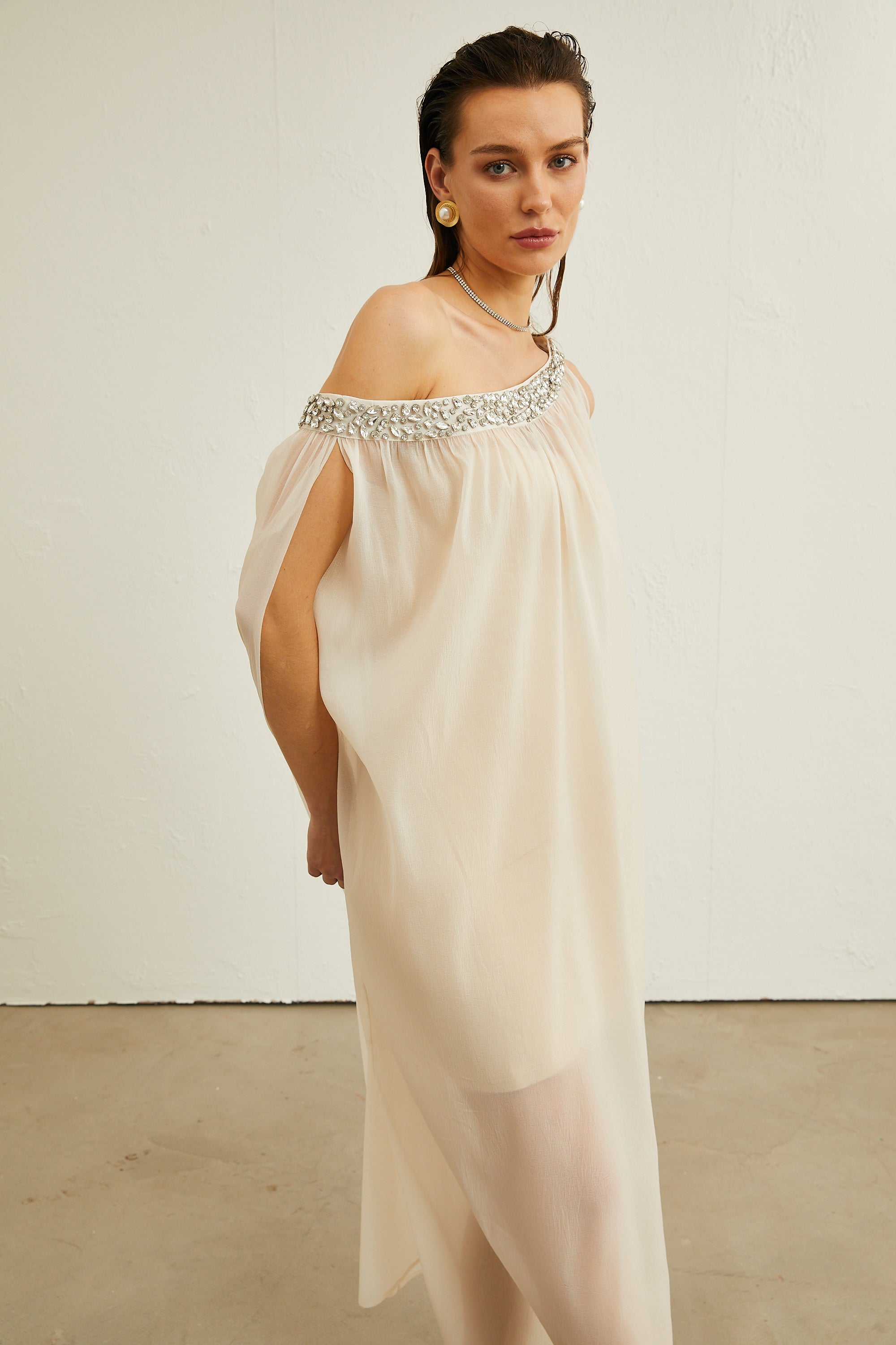 Austen kristal midi elbise